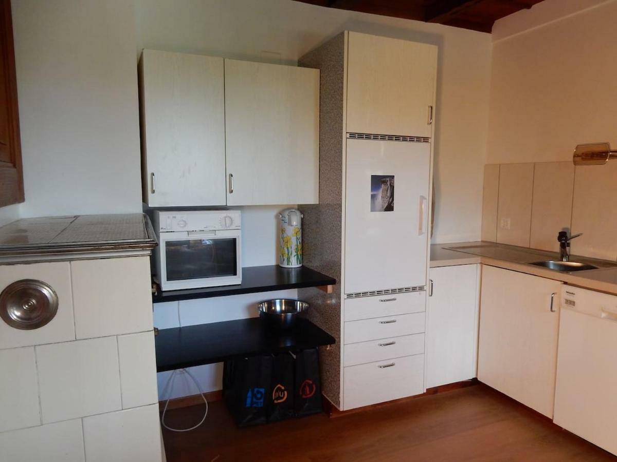 Traditional Swiss-Flat Интерлакен Екстериор снимка
